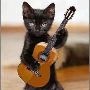 Meet your Posher, Philip